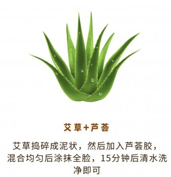 艾叶洗脸祛斑正确方法