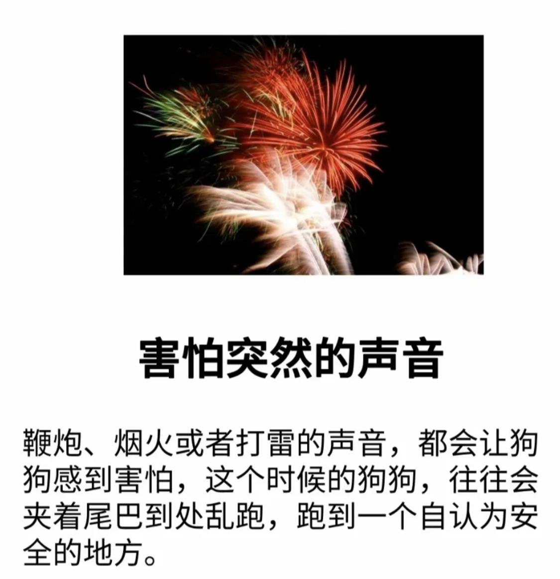 狗最怕的三样东西是什么