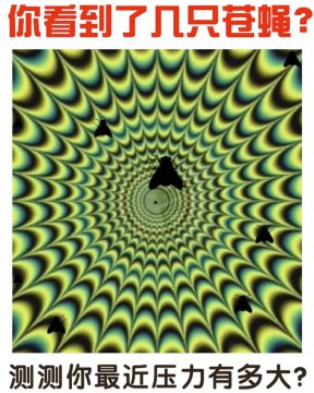 看到几只苍蝇测试题答案