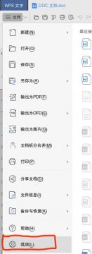 如何插入放大图片