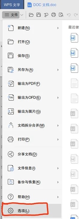 如何插入放大图片