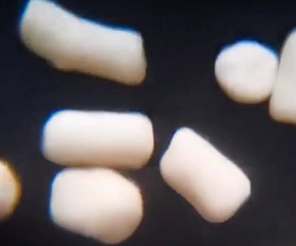 酵母放大1000倍