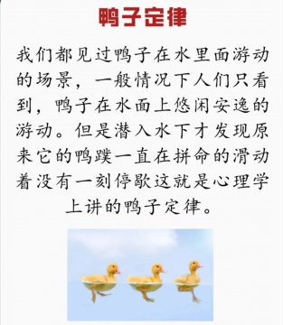 鸭子定律是什么意思