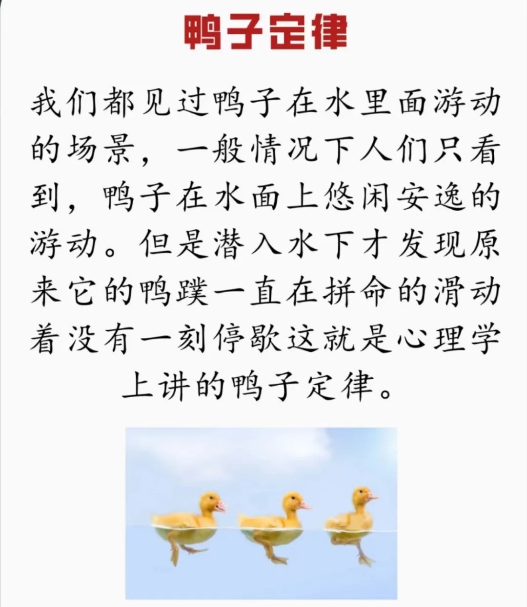 鸭子定律是什么意思