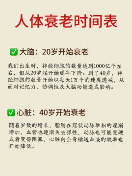 人类在哪几个年龄段会加速衰老