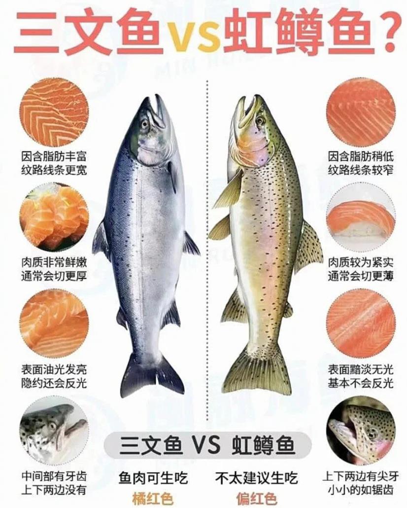 三文鱼和虹鳟鱼最简单辨别方法