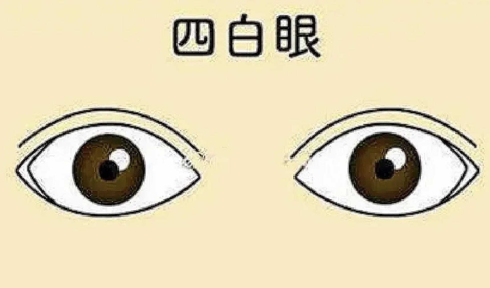 什么叫四白眼