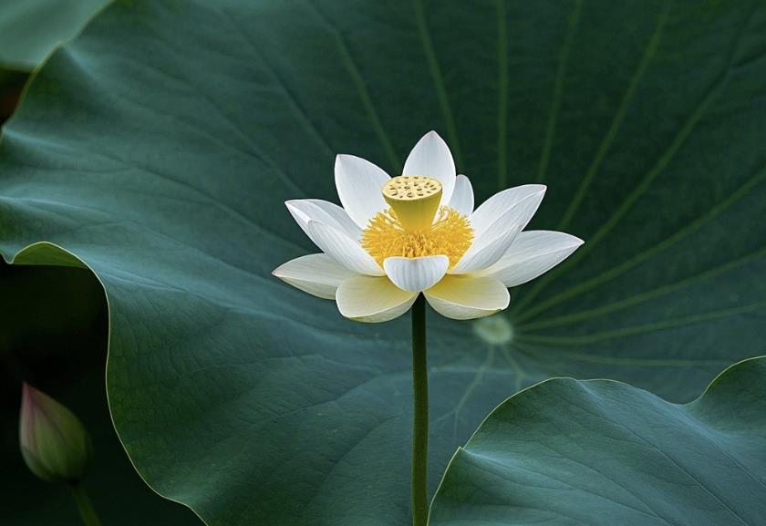 最积德的三件事