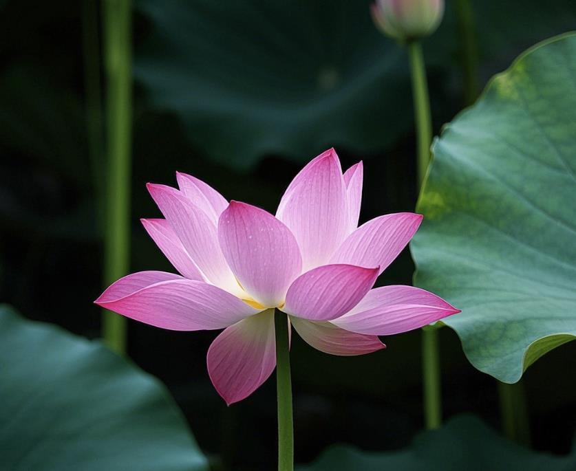 最积德的三件事