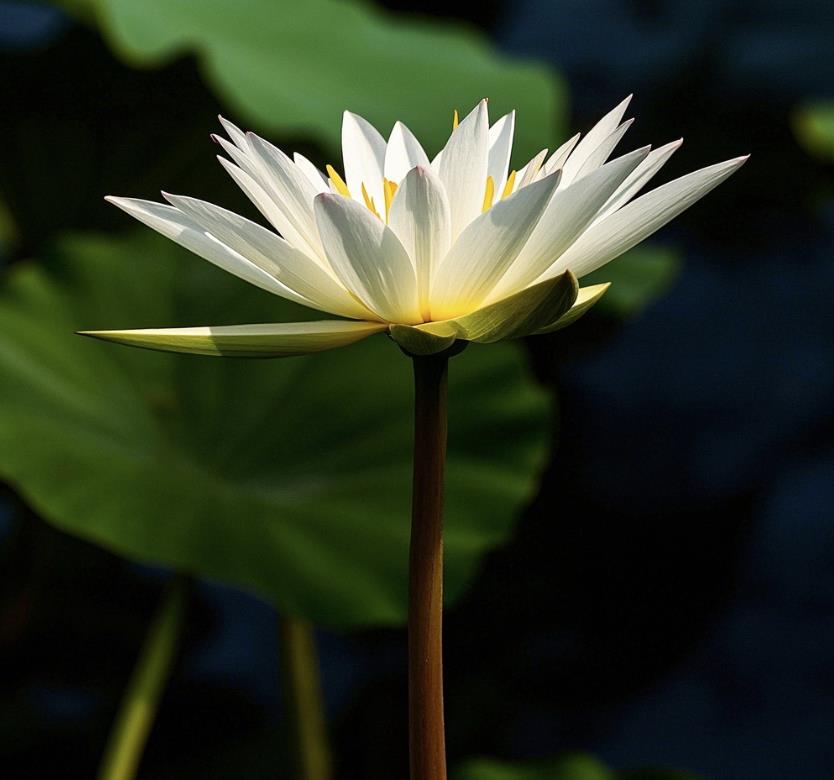 最积德的三件事