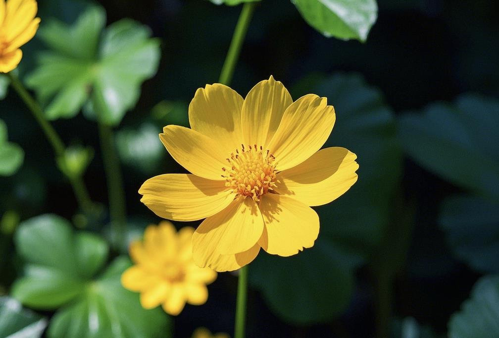 女人最爱听的五个称呼