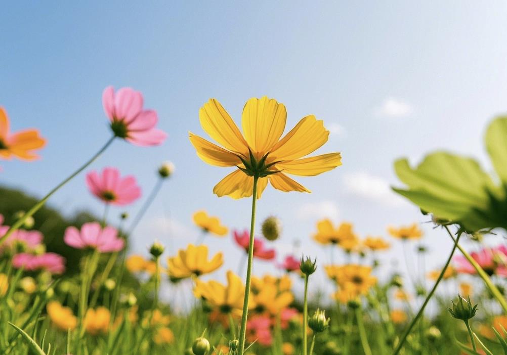 婆婆和儿媳妇最好的相处方式