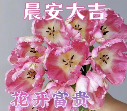 祝福早上好的图片