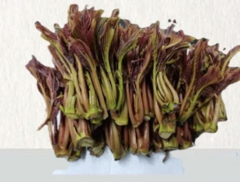 春分前为何要吃“四大黄金芽”