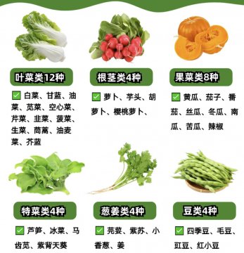 春分种什么菜最好