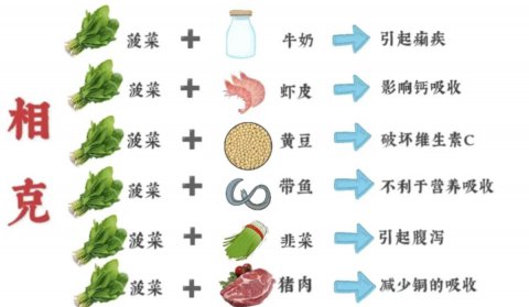 菠菜不能和这9种食物一起吃