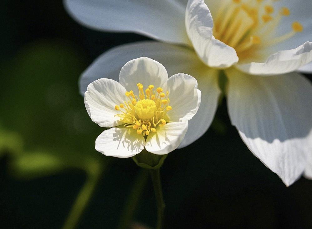 男人不爱老婆的十个表现