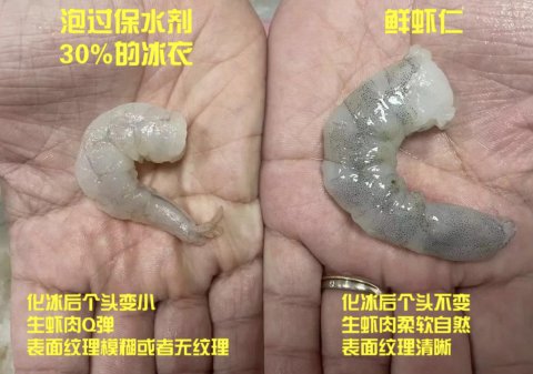 正常虾和激素虾对比图