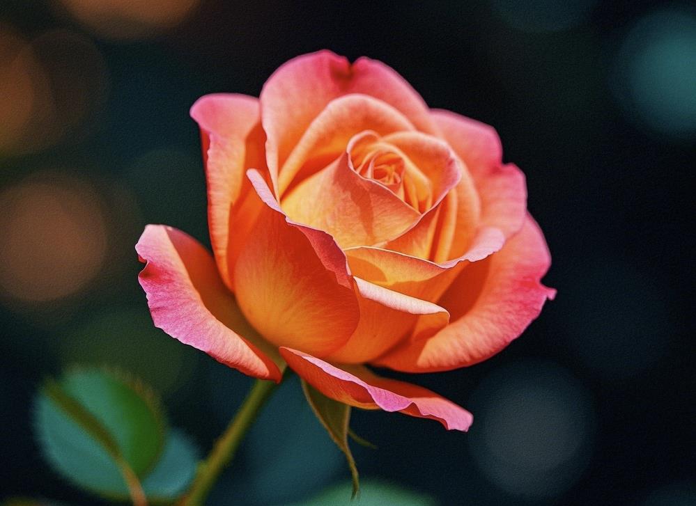 60岁男人爱上一个女人的征兆