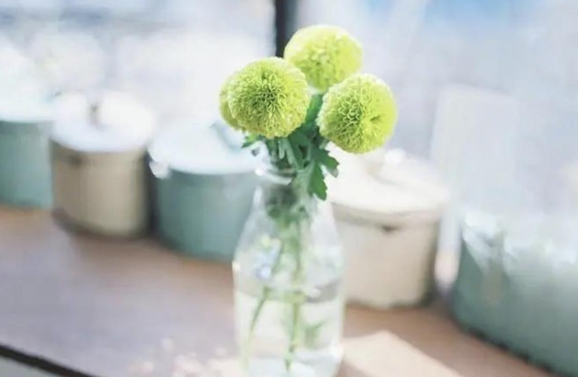 60岁老男人喜欢什么样的女人