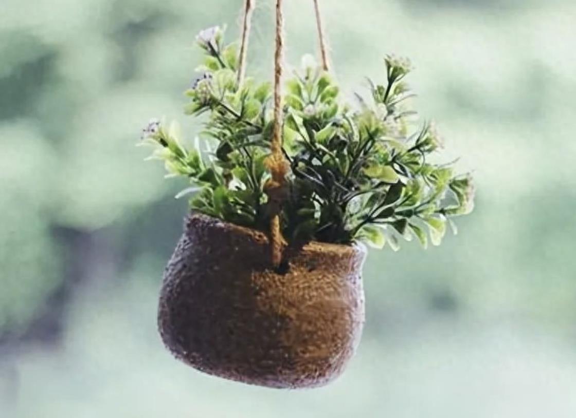 60岁老男人喜欢什么样的女人