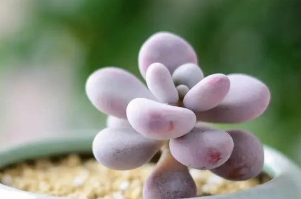 60岁老男人喜欢什么样的女人