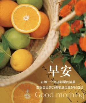 2025今日最佳早安金句