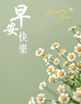 2025今日最佳图片