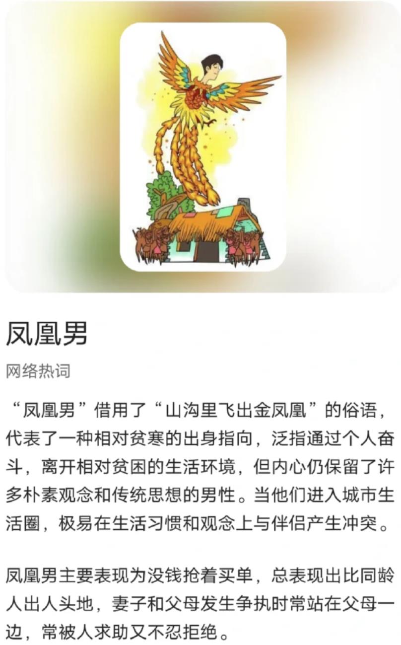 凤凰男是什么意思