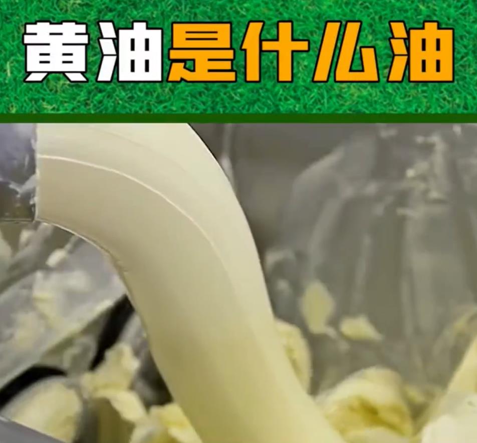黄油到底是什么油
