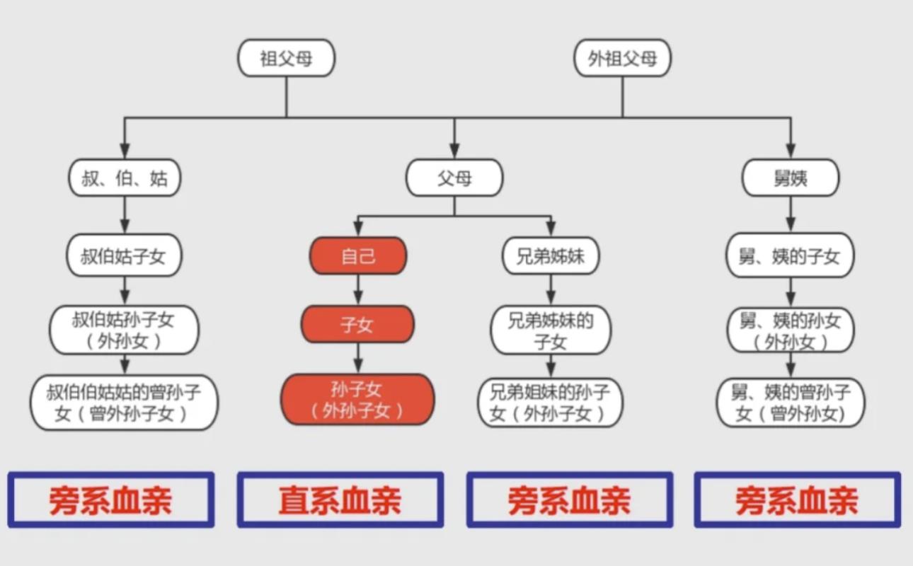直系亲属一览表图片