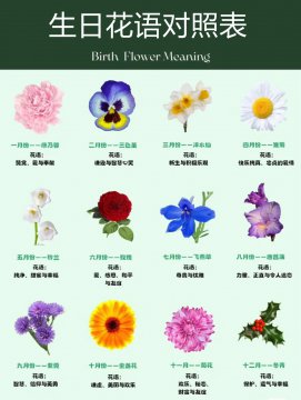 生日花语对照表