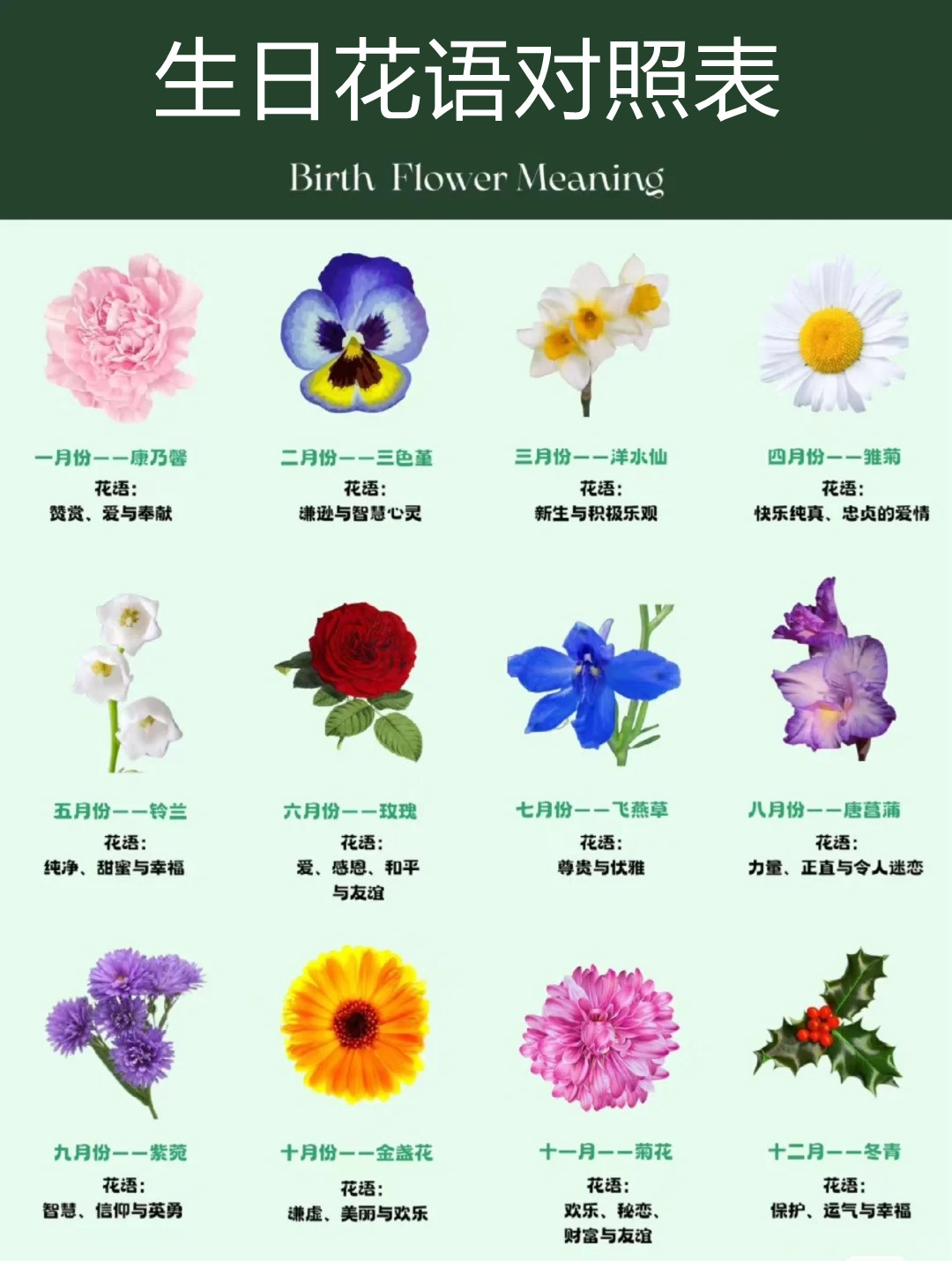 生日花语对照表