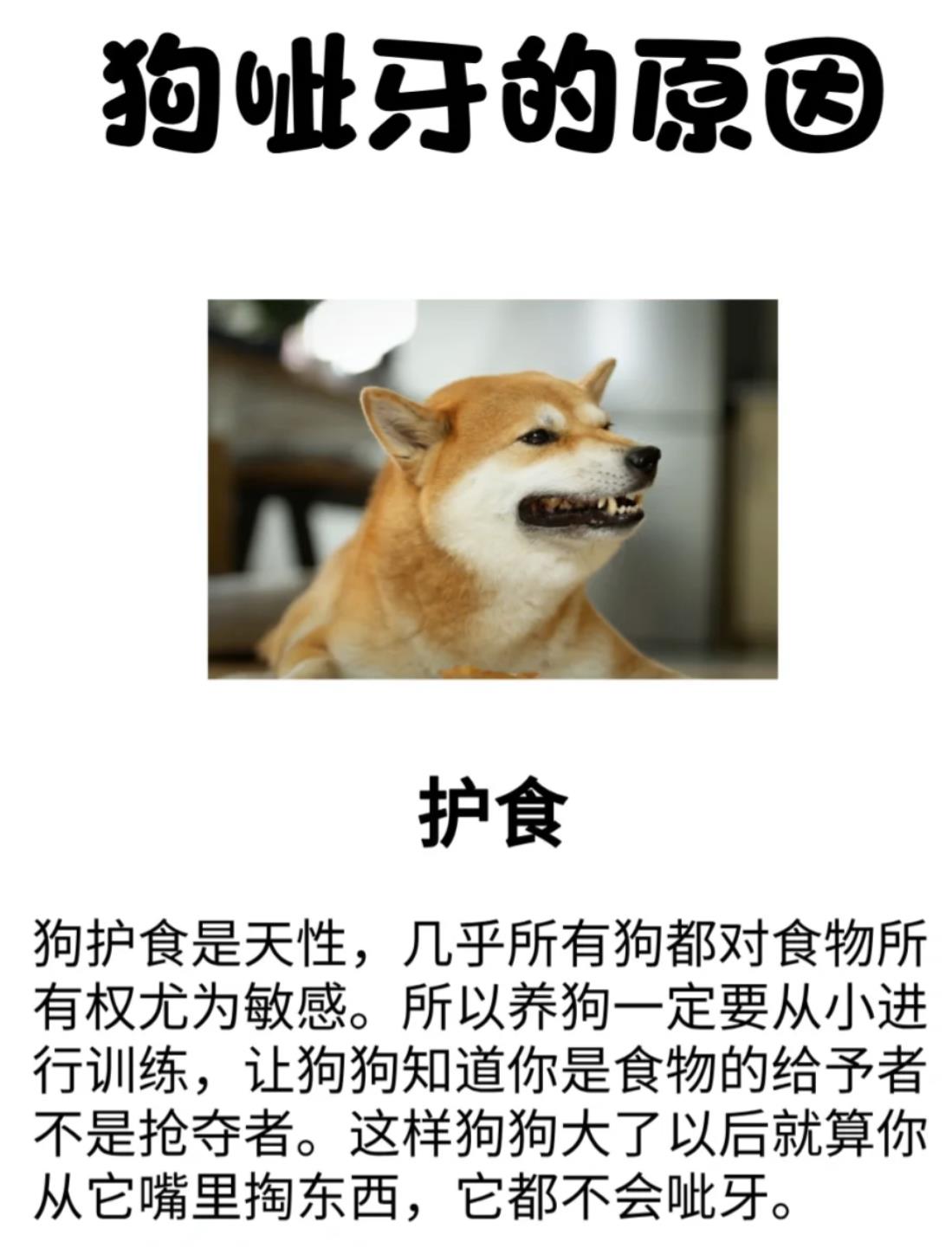 狗龇牙是什么意思