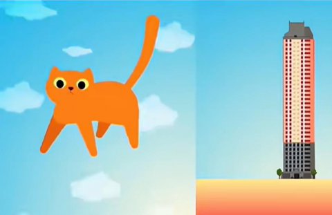猫从6楼掉下去存活几率多大