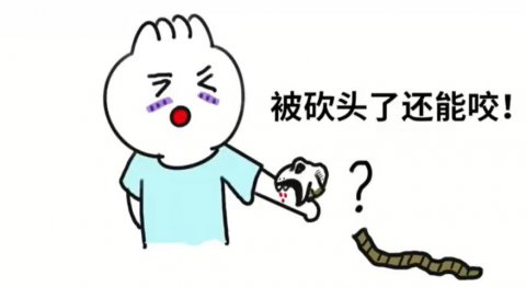 蛇头断了还能活多久