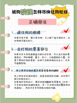 让狗松口最有效的方法