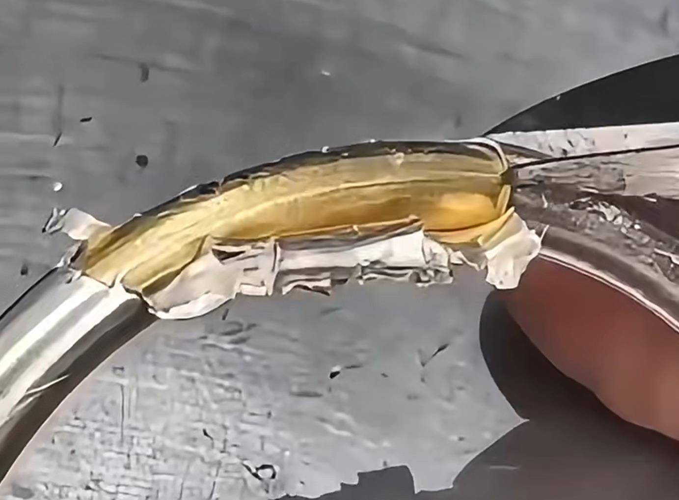 银包金是什么说法