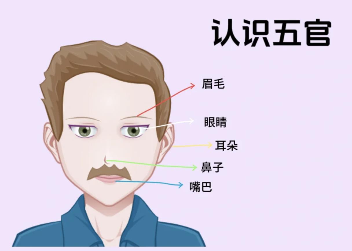 五官的正确答案图片