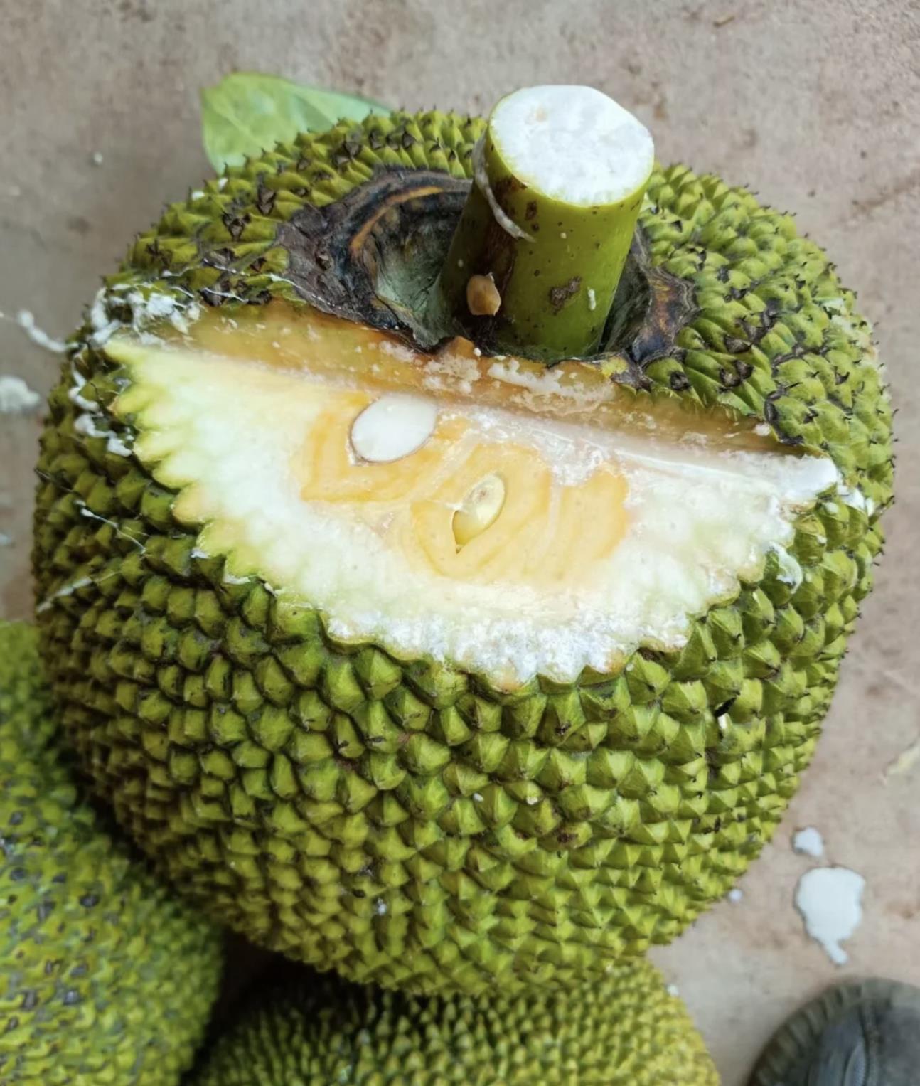 菠萝蜜为什么要切一个口
