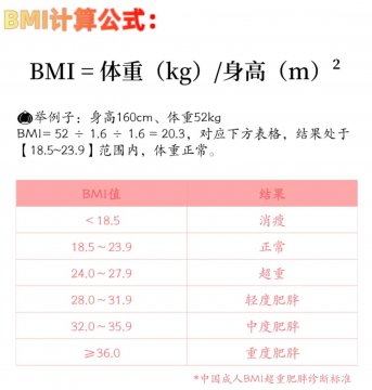 bmi计算器公式