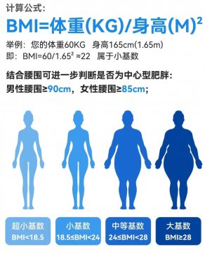 女性bmi正常图片