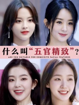 什么叫五官精致