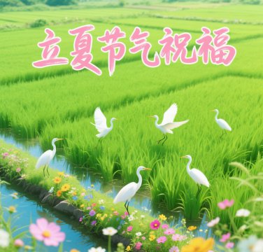 立夏节气祝福图片