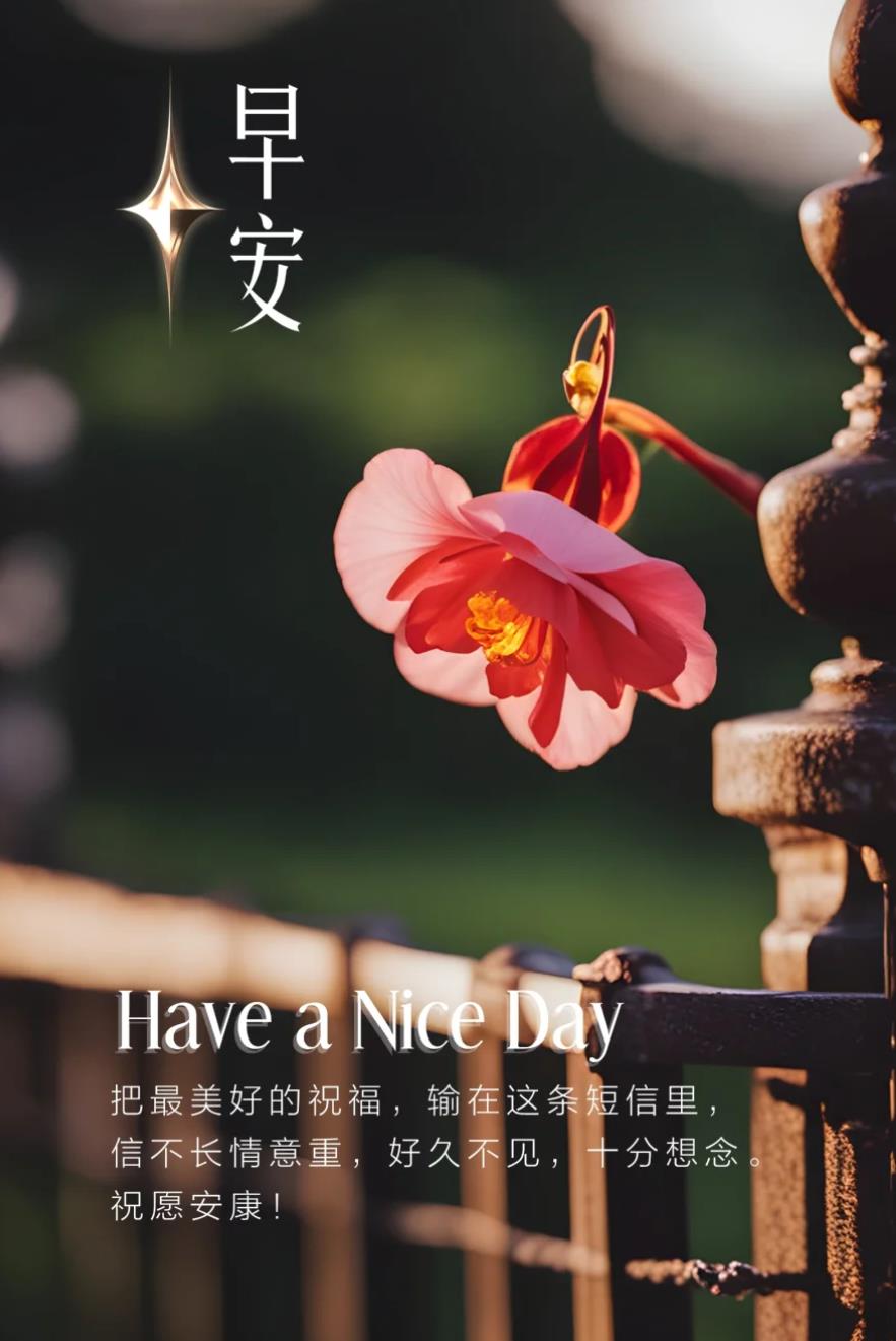 传递牵挂思念的早安图片有哪些