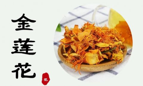 金莲花价格多少钱一斤