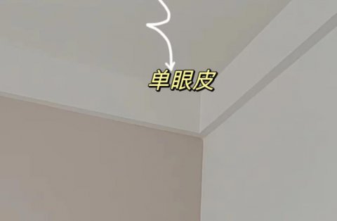 为什么师傅不建议单眼皮吊顶