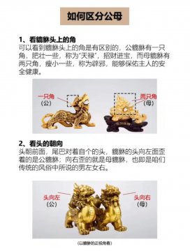 貔貅公母怎么分