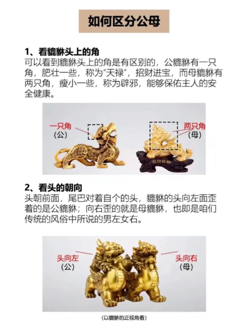 貔貅公母怎么分