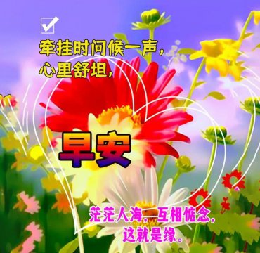 有哪些问候语美图
